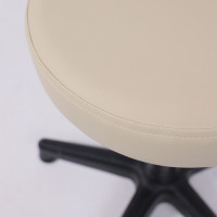 СТУЛ КАССИРА СО СПИНКОЙ L кожзам купить в Минске