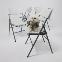 Стул складной AksHome 47*50*84 белый купить в Минске