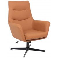 Кресло Akshome Hudson (Хадсон) экокожа охра PU-17/черный