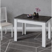 Стол раздвижной ПРОМО Тип 4 1100(2098)*670 ателье темный/белый купить в Минске