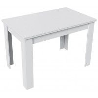 Стол раздвижной ПРОМО Тип 4 1100(2098)*670 белый/белый купить в Минске