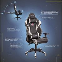 Кресло Akshome Raptor (Раптор) черный+белый купить в Минске Кресло Akshome Raptor (Раптор) черный+белый купить в Минске