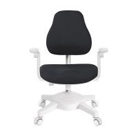 Кресло Anatomica Armata с подлокотниками черный купить в Минске Кресло Anatomica Armata с подлокотниками черный купить в Минске