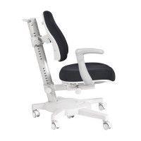 Кресло Anatomica Armata с подлокотниками черный купить в Минске Кресло Anatomica Armata с подлокотниками черный купить в Минске