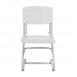 Детский растущий стул Anatomica Ergo Chair серый/серый купить в Минске