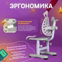 Детский растущий стул Anatomica Ergo Duos серый купить в Минске Детский растущий стул Anatomica Ergo Duos серый купить в Минске
