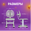 Детский растущий стул Anatomica Ergo Duos серый купить в Минске