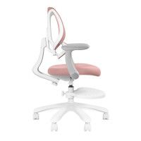 Кресло Anatomica Farang с подлокотниками розовый купить в Минске Кресло Anatomica Farang с подлокотниками розовый купить в Минске