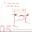 Детская парта Anatomica Genius клен/голубой купить в Минске