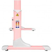 Детская парта Anatomica Genius белый/розовый купить в Минске