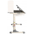Детская парта Anatomica Genius белый/серый купить в Минске