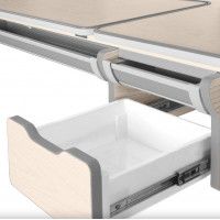 Детская парта Anatomica Genius клен/серый купить в Минске