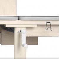 Детская парта Anatomica Genius клен/серый купить в Минске