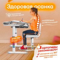 Детский растущий стул Anatomica Lux-01 с чехлом Comfort-01 серый с зеленым чехлом купить в Минске Детский растущий стул Anatomica Lux-01 с чехлом Comfort-01 серый с зеленым чехлом купить в Минске