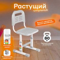 Детский растущий стул Anatomica Lux-01 с чехлом Comfort-01 серый с зеленым чехлом купить в Минске Детский растущий стул Anatomica Lux-01 с чехлом Comfort-01 серый с зеленым чехлом купить в Минске