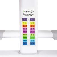 Детский растущий стул Anatomica Lux Pro серый купить в Минске
