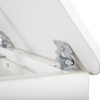 Детская парта Anatomica Отличник белая купить в Минске