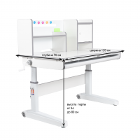 Детская парта Anatomica Premium Granda Plus клен/зеленый купить в Минске Детская парта Anatomica Premium Granda Plus клен/зеленый купить в Минске