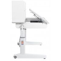 Детская парта Anatomica Premium Granda Plus белый/серый купить в Минске Детская парта Anatomica Premium Granda Plus белый/серый купить в Минске