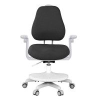 Кресло Anatomica Ragenta с подлокотниками черный купить в Минске