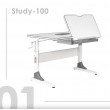 Детская парта Anatomica Study-100 белый/розовый купить в Минске