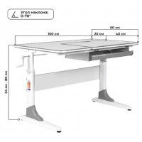 Детская парта Anatomica Study-100 белый/розовый купить в Минске