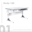 Детская парта Anatomica Study-120 белый/розовый купить в Минске