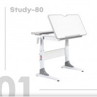 Детская парта Anatomica Study-80 клен/голубой купить в Минске