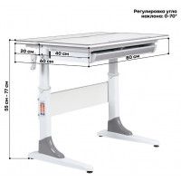 Детская парта Anatomica Study-80 клен/голубой купить в Минске