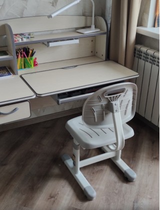 Детская парта Anatomica Uniqa клен/серый купить в Минске