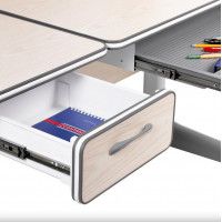 Детская парта Anatomica Uniqa белый/серый купить в Минске