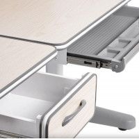 Детская парта Anatomica Uniqa белый/серый купить в Минске