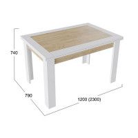 Стол раздвижной ХЬЮСТОН Тип 4, дуб крафт золотой/белый купить в Минске