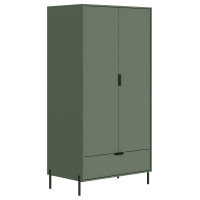 Шкаф Paloma SZF2D1S 104,5*63*202,5 дымчатый зеленый