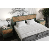 Кровать Siena LOZ160х200 160*200 с подъемным механизмом дымчатый зеленый/дуб вотан купить в Минске