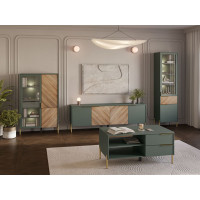 Шкаф Siena REG1W1D/140 92,5*41*145 дымчатый зеленый/дуб вотан (с подсветкой) купить в Минске