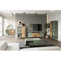 Тумба Siena RTV4D 197*41*65 дымчатый зеленый/дуб вотан купить в Минске Тумба Siena RTV4D 197*41*65 дымчатый зеленый/дуб вотан купить в Минске
