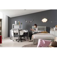 Регулируемый стол-парта COMF-PRO Elephant Desk купить в Минске