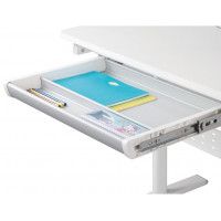 Комплект Smart 80: парта регулируемая Smart E602 с накладкой и полкой купить в Минске