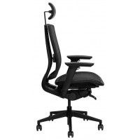 Кресло DUOREST Duoflex BR-200M купить в Минске