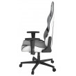 Кресло DXRacer OH/P88/WN белый с черным купить в Минске