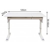 Комплект ученический Ergosmart Caravel mini: стол Caravel S, книжная полка Wooden space S купить в Минске