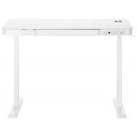 Стол с регулируемой высотой Ergosmart Charged Desk 118*60 см купить в Минске Стол с регулируемой высотой Ergosmart Charged Desk 118*60 см купить в Минске