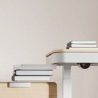 Стол с регулируемой высотой Ergosmart Charged Desk 118*60 см купить в Минске Стол с регулируемой высотой Ergosmart Charged Desk 118*60 см купить в Минске