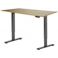 Стол с регулируемой высотой Electric Desk Light Black 120*65*1,8 см купить в Минске