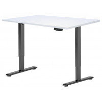 Стол с регулируемой высотой Electric Desk Light Black 120*65*2,5 см купить в Минске Стол с регулируемой высотой Electric Desk Light Black 120*65*2,5 см купить в Минске