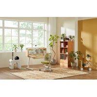 Стол Ergosmart Galeon гевея натуральная купить в Минске