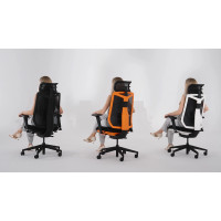 Креслo ERGOSTYLE Elevate ELMF01 купить в Минске