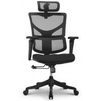 Креслo ERGOSTYLE Sail-E Pro купить в Минске Креслo ERGOSTYLE Sail-E Pro купить в Минске