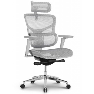 Креслo ERGOSTYLE Sail Pro-G